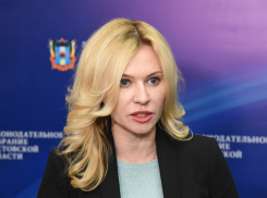Донской депутат Госдумы раскритиковала идею о переведении женщин на «дистант»