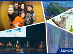 Веселимся в зоопарке, слушаем рок-музыку и рисуем картины: куда пойти в Ростове на этой неделе