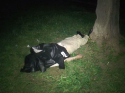 Бездыханное тело собственного сына обнаружила женщина во дворе многоэтажки Ростова