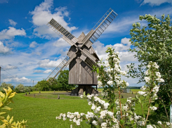 «В деревню, в глушь»: ростовчане все чаще стали интересоваться готовым бизнесом