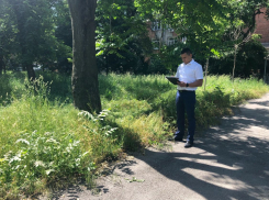 Более 200 жителей Ростовской области оштрафовали за нескошенную траву