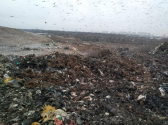 Власти Ростова восемь лет просили губернатора Голубева решить проблему свалки в Левенцовке 