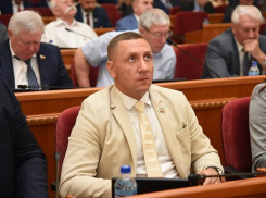 Ростовский депутат каждый год менял дорогие иномарки, а теперь живет на тысячу рублей в день