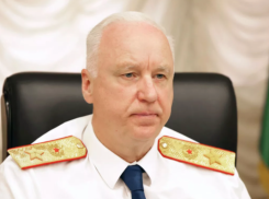 Бастыкин взял на контроль дело школьницы, которую избил одноклассник  
