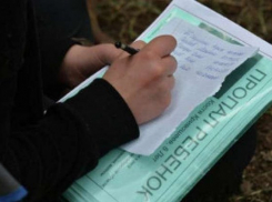 Пропавшую восьмилетнюю девочку несколько часов искали в Ростове