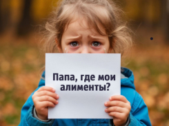 Жителя Ростова отправили в колонию за долги по алиментам