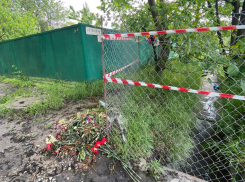 В Ростове назвали чиновника, виновного в смерти пожилой учительницы в ливневке