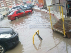 Власти Ростова обвинили в затоплении «Темерника» руководство рынка