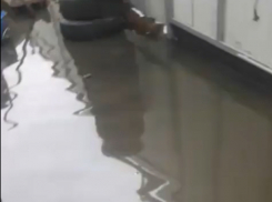 Локальная «Венеция» на частном подворье  в Ростовской области попала на видео