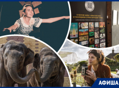 Кормим слоников и носорогов, уезжаем в страну солнца и читаем немецкие комиксы: куда пойти в Ростове на этой неделе