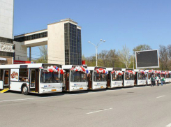 Водители общественного транспорта Ростова пострадают от закупки автобусов к ЧМ-2018