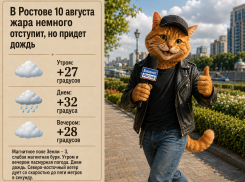 В Ростове 10 августа жара немного отступит, но придет дождь