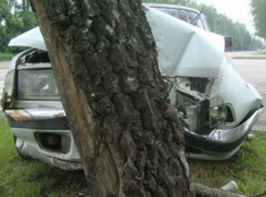 Смертельный таран дерева за рулем автомобиля совершил мужчина в Ростове