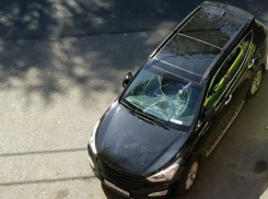 Ночных прыгунов по машинам ищет разъяренный автовладелец в Ростове