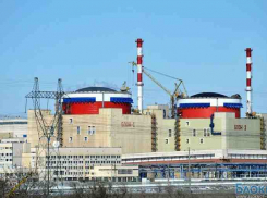 За пожар на Ростовской АЭС рабочих наказали рублем     