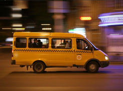 В Батайске ищут свидетелей конфликта между выпавшей из автобуса женщиной и водителем