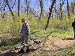 В ростовском парке Авиаторов начали искать места расстрельных ям времен Великой Отечественной войны