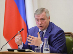 Василия Голубева раскритиковали в соцсетях за закрытые парки