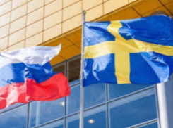 В рамках Дней Швеции предприятия Ростовской области найдут новых партнеров