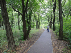 Роща «Дубки» в Ростовской области получила статус особо охраняемой