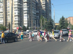 Педагоги вывели детей под колеса и создали пробку  на оживленной дороге Ростова