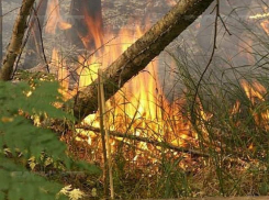 В Ростовской области отмечается чрезвычайная пожароопасность