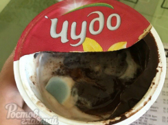 Отведать творожное «Чудо» с тошнотворными грибками и плесенью предлагает гипермаркет в Ростове