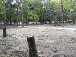 Защитить сквер на Нагибина от незаконной вырубки ради строительства церкви потребовали неравнодушные ростовчане