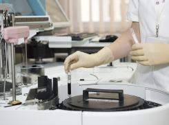 В Ростовской области за сутки заболели коронавирусом 382 человека 