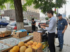 Ростовские власти в очередной раз задумались о том, как убрать незаконную торговлю с улиц города