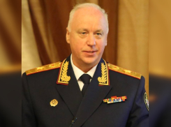 Александр Бастрыкин взял на контроль дело о смерти ребенка после отказа больницы в Ростовской области его принять