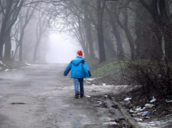 Донские полицейские несколько часов искали пропавшего без вести 10-летнего мальчика