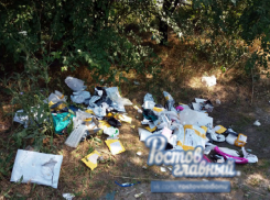 Новая свалка из бессовестно разворованных почтовых посылок найдена под Ростовом