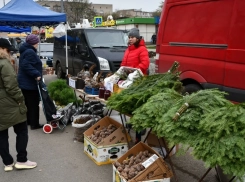 Предновогодние ярмарки пройдут в пяти городах Ростовской области 