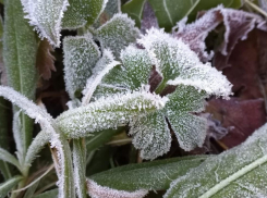 В среду в Ростовской области похолодает до -2 градусов и пойдет мокрый снег