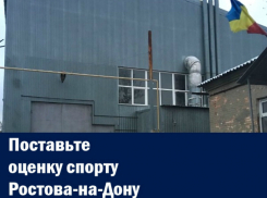 Катастрофа в детском футболе и перемены в ФК «Ростов»: итоги спорта 2017