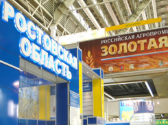 Правительство потратило на оформление экспозиции для выставки в Москве  5,5 млн рублей