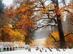 Климатолог Иошпа рассказал, почему в конце октября в Ростовской области так тепло