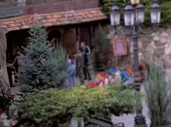 В парке «Лога» посетитель напал на конюха и едва не сломал позвоночник пони