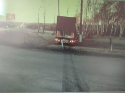 В Ростовской области водитель на фуре врезался в дерево и погиб