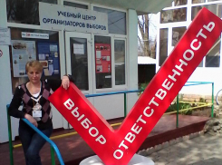 Учительница в Ростове-на-Дону отделалась штрафом за фальсификацию выборов
