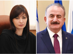 Ректоры крупнейших вузов Ростова отчитались о доходах
