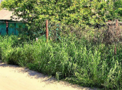 Жители садоводства «Импульс» случайно признались в развязывании дорожных войн в Ростове