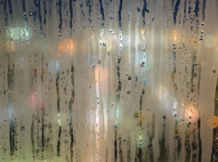 Дождь и туман: прогноз погоды на воскресенье, 17 марта