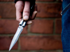 Жестоко зарезал пенсионерку и ранил девочку житель Ростовской области