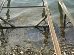 В Ростове на берегу Дона замечены маслянистые пятна