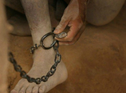 Увесистой цепью «намертво» приковали жителя Волгодонска к дереву в Ростовской области