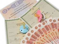Беспрецедентную аферу с материнским капиталом провернули две матери в Ростовской области