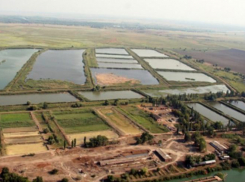 В Ростовской области снизят выросшую в 50 раз цену на землю под прудами