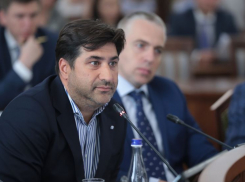 «А советоваться не надо?»: бизнес-омбудсмена возмутил подход ростовских властей к введению ограничений